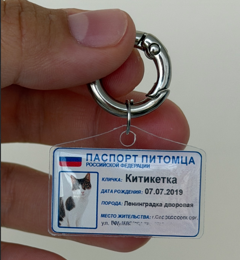 Адресник на питомце