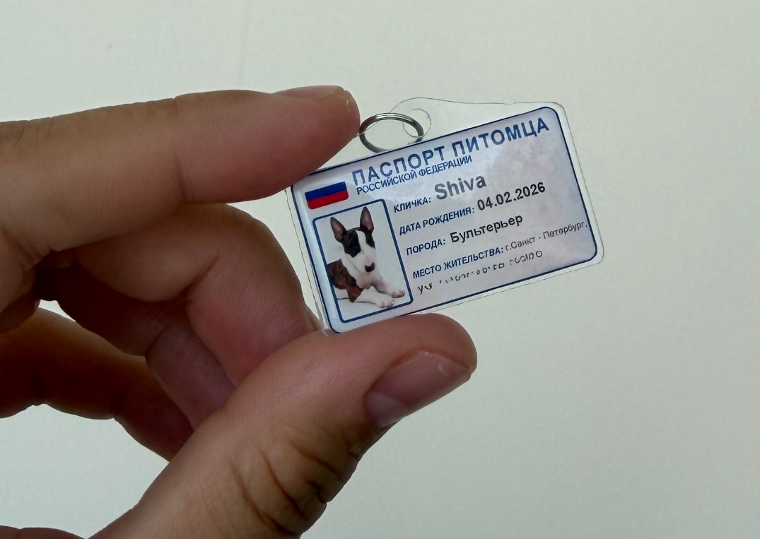 Адресник на питомце