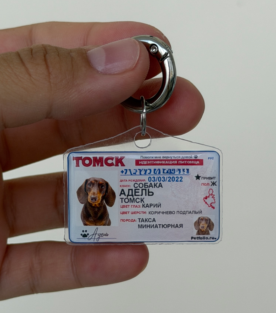 Адресник на питомце