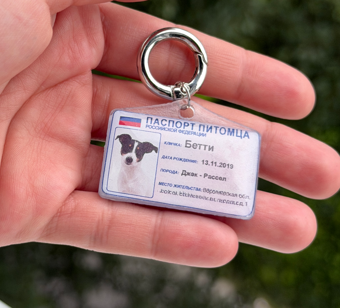 Адресник на питомце