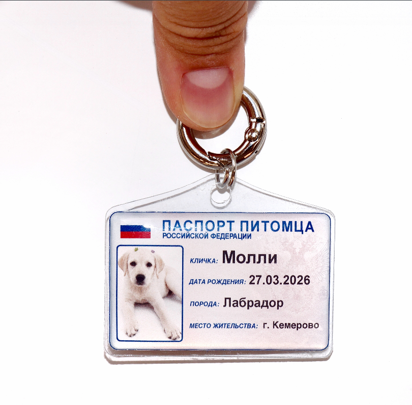 Адресник на питомце